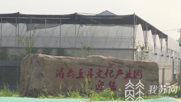 灌云红烧豆丹入选江苏省百kaiyun官方下载道乡土地标菜名单(图1)